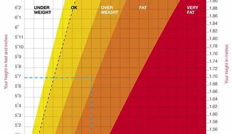 height weight picture chart