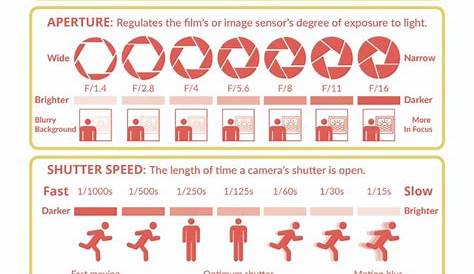 Camera settings cheat sheet from Rosie Parsons course. | Photography