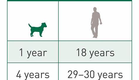 30 Pet Aging charts ideas | dog ages, pets, dog age chart