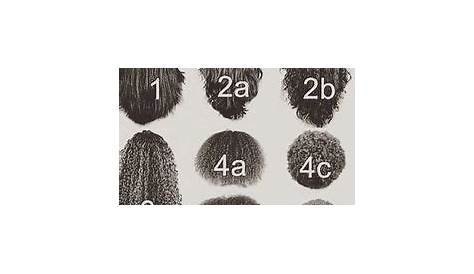 Image result for hair texture chart | Natural hair types, Natural hair
