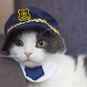 The Cat Police