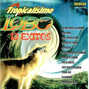 Tropicalisimo Lobo