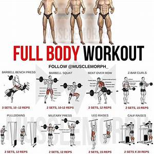Workout Body Fitness
