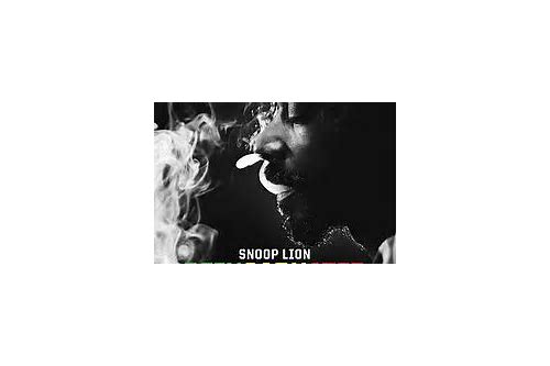 Snoop dogg reincarnated album free download zip