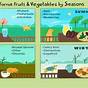 Fruit Season Chart California