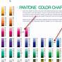 Pm Colors Color Chart