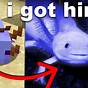 How Rare Is A Green Axolotl In Minecraft