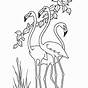 Flamingo Printable Coloring Pages