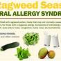 Food Pollen Allergy Chart
