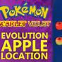 Pokemon Applin Evolution Chart