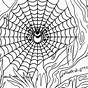 Coloring Pages Printable Spider Web