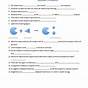 Enzyme Worksheets Answers What Is A Catalyst