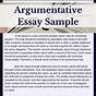 Writing Argumentative Essays Outline