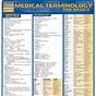 3.02 Medical Terminology Chart