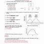 Enzyme Graphing Worksheet Answers