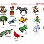 Differences Between Living And Non-living Things Chart