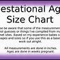 Gestational Sac Size Chart Mm