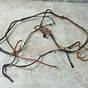 Ford 8n Wiring Harness