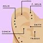 Ear Piercing Types And Names