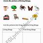 Living And Non Living Things Worksheets