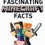 Random Minecraft Facts