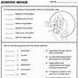 Exploring Scientific Method Worksheets