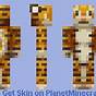 Tiger Skins Minecraft