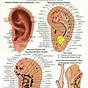 Acupressure Points For Ear