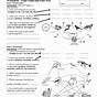 Food Webs And Food Chains Worksheets Answers