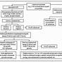 Gram Negative Rod Flow Chart