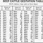 Gestation Period For Cows Chart