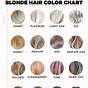 Dark Blonde Hair Color Chart