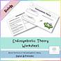 Endosymbiotic Theory Worksheet
