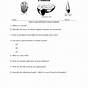 Earth Science Fossils Worksheet