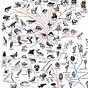 Evolution Chart Of Animals