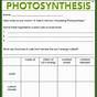 Photosynthesis Animations Student Worksheet