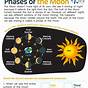Free Phases Of The Moon Worksheets
