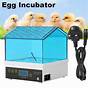 Humidity Of Incubator For Chicken Eggs
