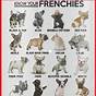 French Bulldog Dna Color Test Chart