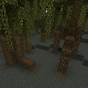 Mangrove Swamp Biome Minecraft