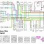 Gy6 150cc Wiring Harness