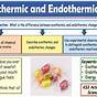 Endothermic And Exothermic Worksheet Ks3