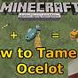Tame A Ocelot Minecraft