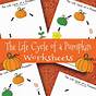 Life Cycle Pumpkin Worksheet