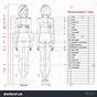 Women's Printable Body Measurement Chart
