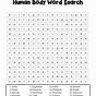 Inside The Human Body Word Search