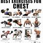 Gym Chest Workout Chart