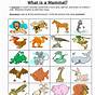 Mammals Worksheets For Kids