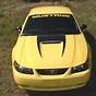2001 Ford Mustang Hood