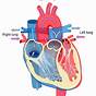 Heart Diagram Electric